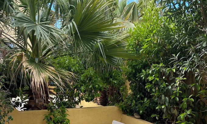 Les Hauts de Canet Apartment | Vrbo Property