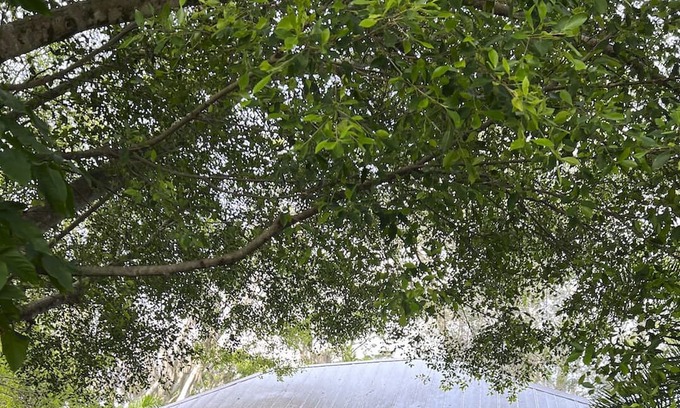 Bonita Springs Cottage | Adorable Cottage Close To Downtown & Area Beaches.
