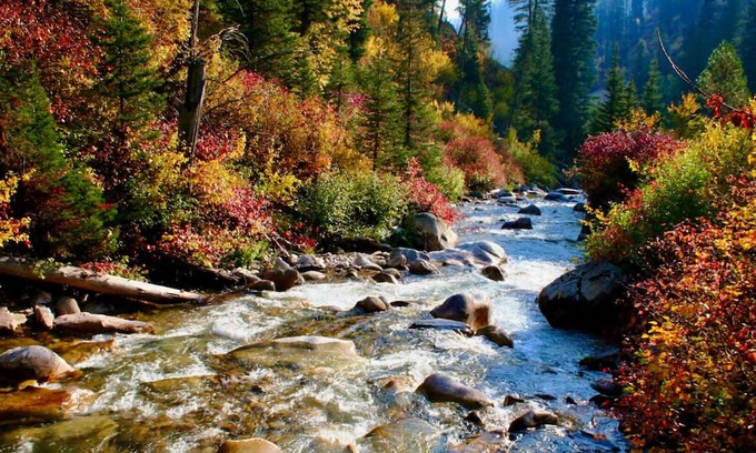 McCall House | River View Retreat on Payette River