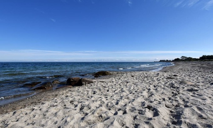 Hohenfelde Apartment | "Seagull nest" on the Baltic Sea beach