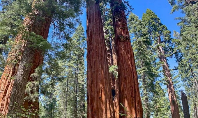 Arnold Cabin | Mokelumne Mountain House