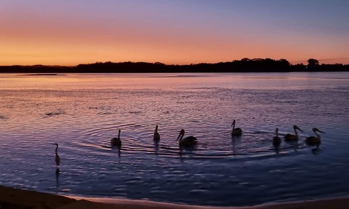 Maroochydore Apartment | QUIET STAY, at a reduced price if you look after my pug. YOU WILL LOVE IT HERE.