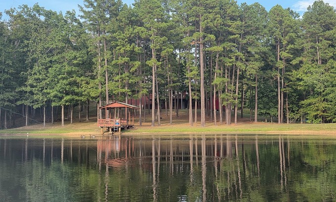 Piedmont Cabin | Sleeps 10-12, 47 Secluded Acres, Private Lodge Style Home Near Clearwater Lake