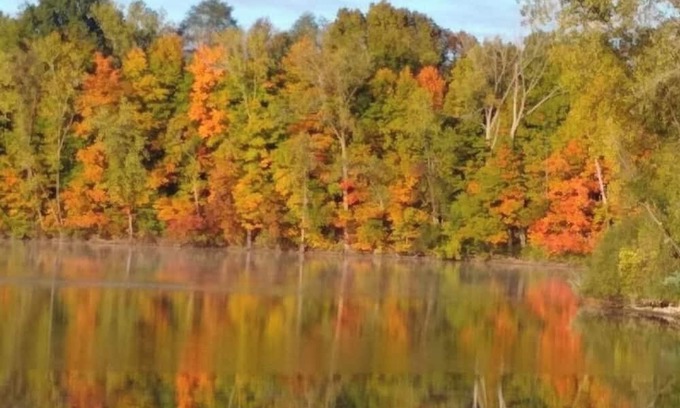 Pioneer House | Lakeshore Escape: 3-bedroom, pet friendly home, 10 min from Turnpike