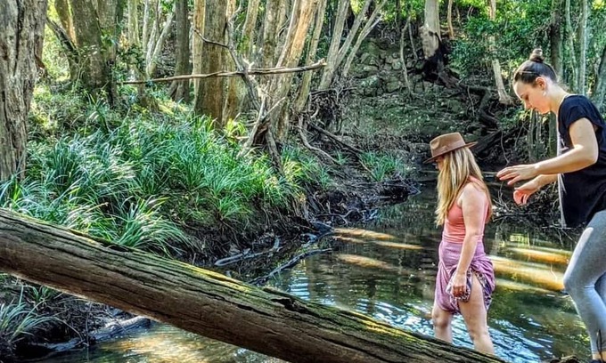 Bunyah Bed & Breakfast | Forest Creek Retreat - Double Room with Mountain View
