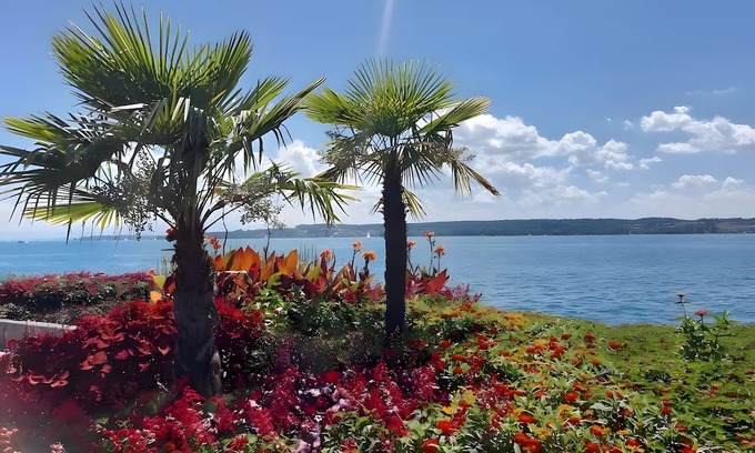 Ueberlingen Apartment | Apartment 'Directly On The Überlingen' with Lake View and Wi-Fi