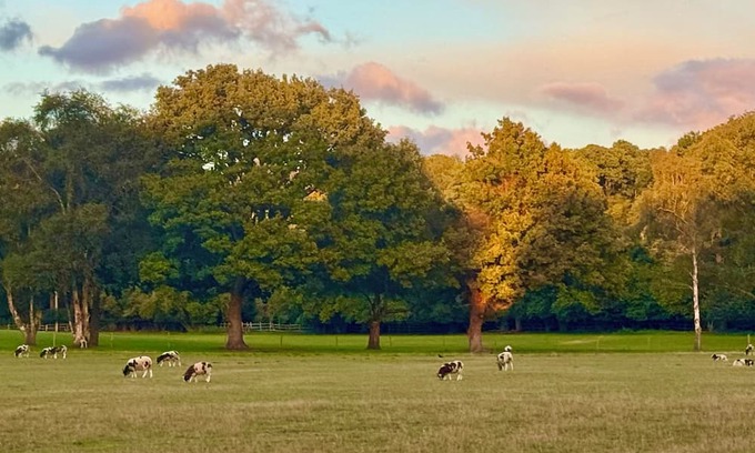 Liphook House | Country Escape on Private Estate, Dogs, Walking
