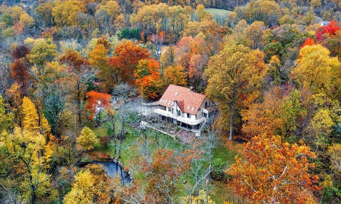 Phoenixville Other | Leaf Peeping at Merlin Creek in Kimberton