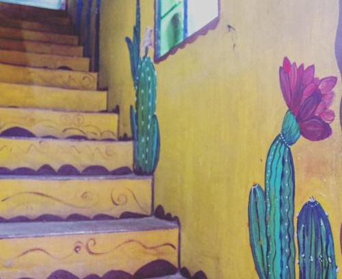 Salsipuedes House | Casa colibri