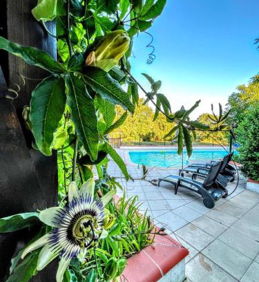 Barbaste House | L'or et des Landes MAISON AVEC PISCINE ET VUE
