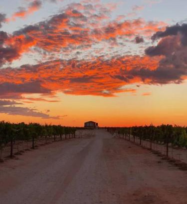 Strampriet House | !Kharuhase, Roots 817